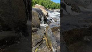 DITLO Hiking in the Mountains  #shorts #hiking #smalltown #nature #exercise #water #walk #dog #pa