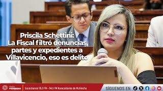 Priscila Schettini | La Fiscal filtró denuncias, partes y expedientes a Villavicencio, eso es delito