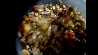 Bhuna Bhutta aur ankurit Moong ki Chaat / Roasted Corn & Sprouts spicy mix Recipe