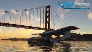 Microsoft Flight Simulator: 2022 Experience