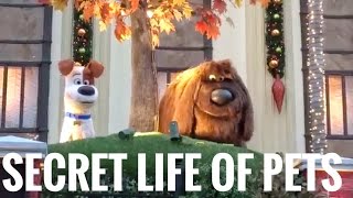 Full Universal's Superstar Parade Featuring Secret Life Of Pets Brand New Floats & Characters