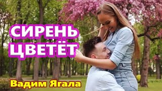 Красивейшая Песня ! Под твоим окном сирень цветёт  Вадим Ягала