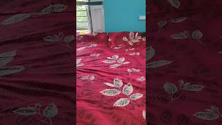 Bedsheet In Messho|#bipusvlogs #messhohual #messho #shorts