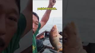 SEMUA DISIKAT..!!? //MANCING LAUT - SHORTS