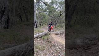 Log hop practice. One OK, one not so! #dirtbike #hardenduro #enduro