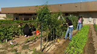 This School Built its Own Farm to Feed the Neighborhood - America's Heartland