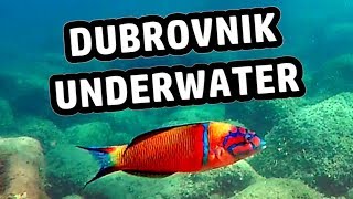 1 hour underwater Timelapse in the Harbour of Dubrovnik, Croatia (no GOT)