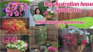 My Australian house backyard garden tour | Hanging baskets and flowers in my backyard | Garden tour