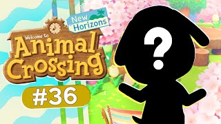 You Won't Believe Who We Find! VILLAGER HUNT 🍦 Animal Crossing: New Horizons #36