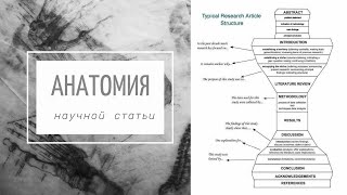 Структура научной статьи