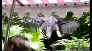 Disney ride in Disney World Park: Jungle Cruise (26 Years Back in Time)