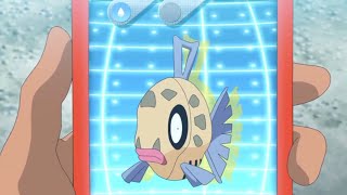 Feebas Pokédex Entries..wmv