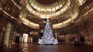 Top Christmas Trees To See in New York for 2017