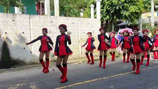 Desfile del festival del maíz San Miguel (las flores)