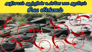 அதிசயம் ஆற்றின் உள்ளே பல ஆயிரம் சிவ லிங்கம்