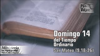 Reflexión del santo Evangelio del Domingo 14 del tiempo ordinario 05 07 2020