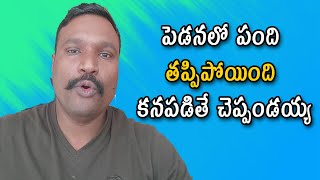 పెడనలో పంది తప్పిపోయింది కనపడితే చెప్పండయ్య | #janasenaparty #ycpvsjanasena #chaibiscuit