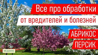 Секреты обработок абрикосов и персиков: 3-я и последующие обработки