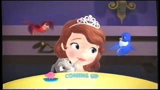 Disney Junior Australia Coming Up Screenbug - Slim Pig