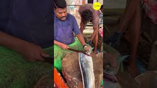 KASIMEDU SPEED SELVAM MAHI MAHI PARLA FISH #kasimeduselvam #shotrs #bigfishcutting #youtube #bigfish