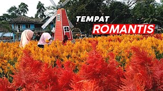 WISATA ROMANTIS | TAMAN RAMADANU