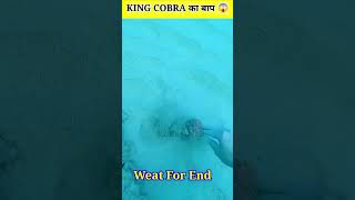 KING COBRA का बाप