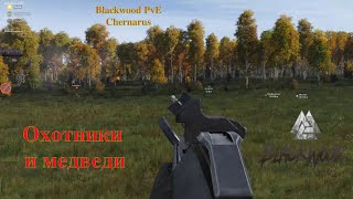 Blackwood PvE Chernarus   Охотники и медведи