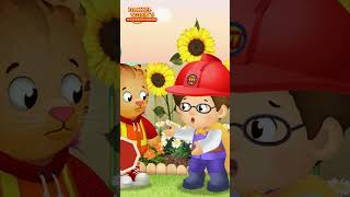 Daniel the Crossing Guard | Daniel Tiger