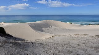 De Hoop Nature Reserve - South Africa 2020