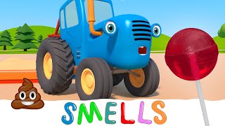 Smell game - Blue Tractor cartoon - Baby songs and kids videos