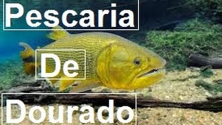 Pescaria De Pacu E Dourado (Vlog Da Pesca)