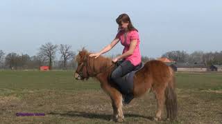 Pony Riding #pony #ponyriding #donkey #donkeyriding #Buffaloriding