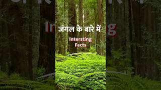 Interesting facts about forests #forest #forestphotography #forestlovers #forestlife #forestwalk