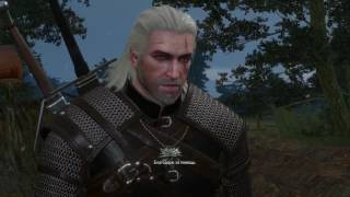 The Witcher 3: Wild Hunt Прохождение Охота на ведьму