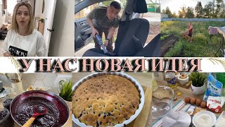 VLOG: СТЕША СБЕЖАЛА из дома/ХОТИМ ПЧЕЛ/пирог СО СМОРОДИНОЙ/ЧИСТИМ АВТОМОБИЛЬ