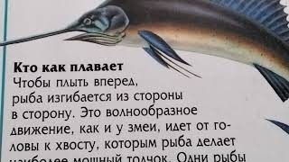 🐠Рыба-Парусник. Из 📖 "Мир природы. Рыбы".( звук ставить выше)🐠