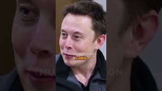 Tesla's car production stopped because of a $3 cable - Elon Musk😳