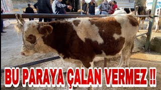 TÜRKİYE'NİN EN UCUZ HAYVAN PAZARI | MEŞHUR KIVIRCIK KOYUNLAR PAZARDA!!!