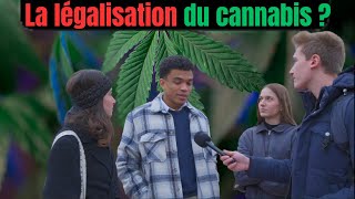 CANNABIS : POUR OU CONTRE SA LEGALISATION ?