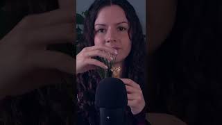 ASMR Intense Giraffe Foliage #asmr #asmrscratching #asmrmicscratching