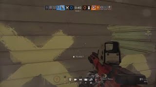 Ash ace