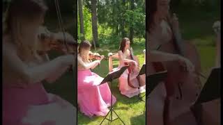 Киномузыка «Властелин колец» / Lord of the Rings трио VERONA #violin