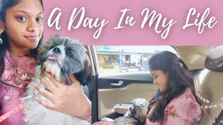 We took our puppy to a function | தமிழில் | Yong's first road trip | Kalyana sapadu 😋 | Miss Talent