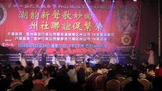 Musicpro Suzuki Group - Klang Music Festival 2014