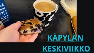 Mustikkapiirakkaa ja autoleikkejä