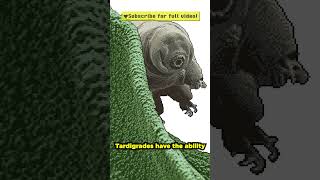 Can tardigrades survive the vacuum of space? #pixelart #animation