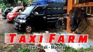 Hanya 150rb ‼️Taxi Farm