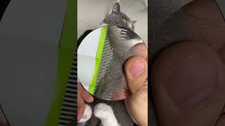 Pet Grooming Comb, Link is on bio or copy:www.niopets.com