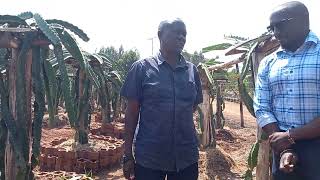 VISITED JUJA SCHOOL DRAGON FRUIT FARM TODAY