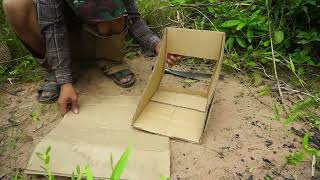 Unique Quail Trap Make From Branches Paper Box & Deep Hole